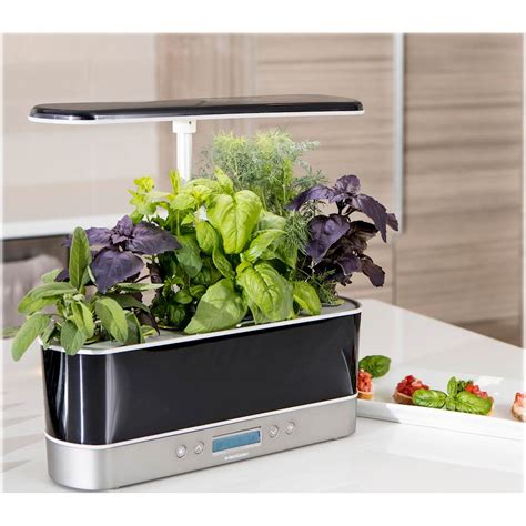 Aerogarden harvest slim - Our 6-Pod Harvest Elite Slim garden in a stainless steel finish, has a sleek tailored shaped and a compact footprint without sacrificing water capacity. ... sale, promotion, or any other offer. Discount given at time of purchase will be deducted from returned merchandise. AeroGarden reserves the right to extend, modify or discontinue this offer ...
